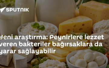 probiyotik