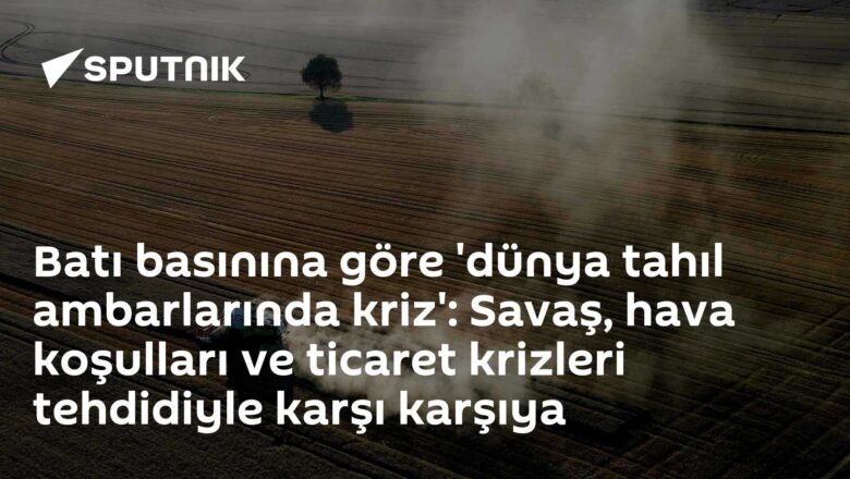 tahıl krizi