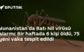 Batı Nil virüsü