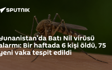 Batı Nil virüsü