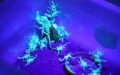 Scorpius Labs