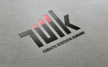 internet kullanım oranı