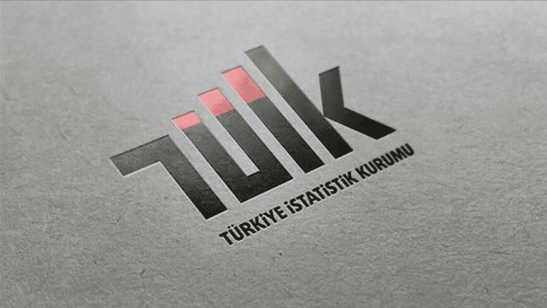 internet kullanım oranı