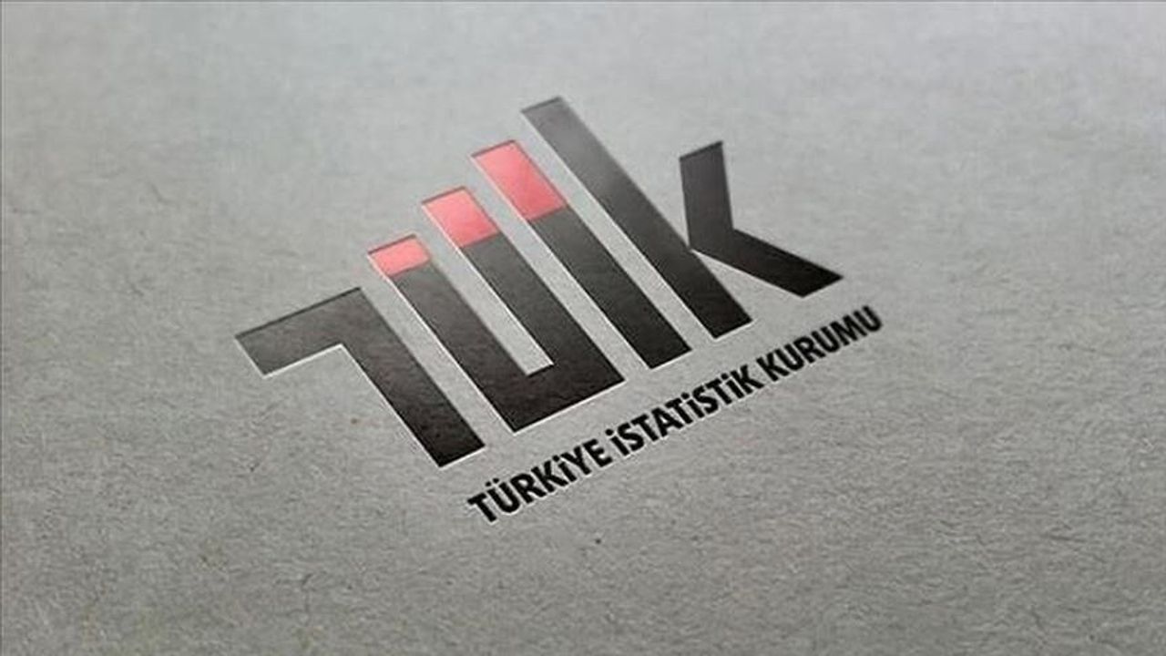 internet kullanım oranı