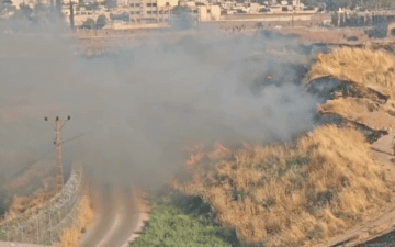 Mardin anız yangını