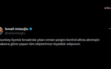 Orman Yangını