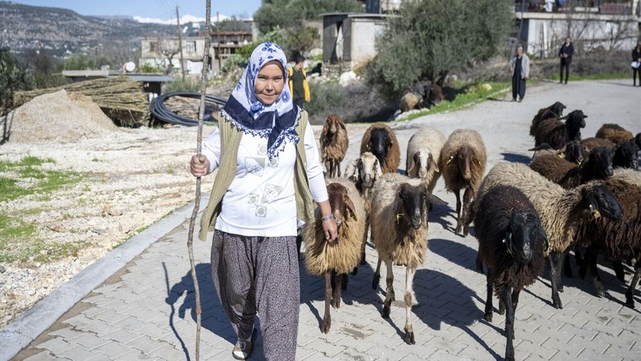 Yüksek Yayla