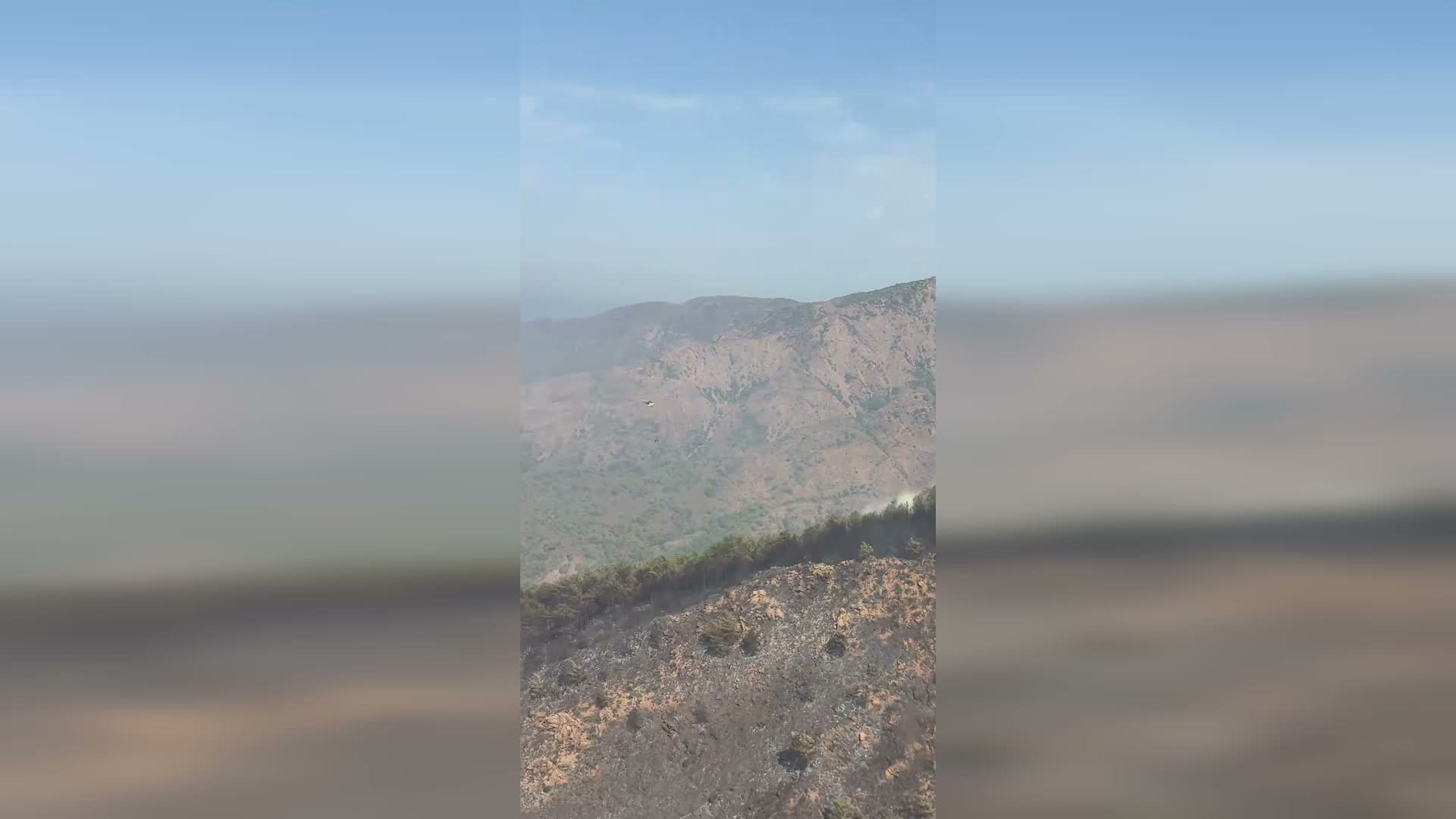 Orman Yangını