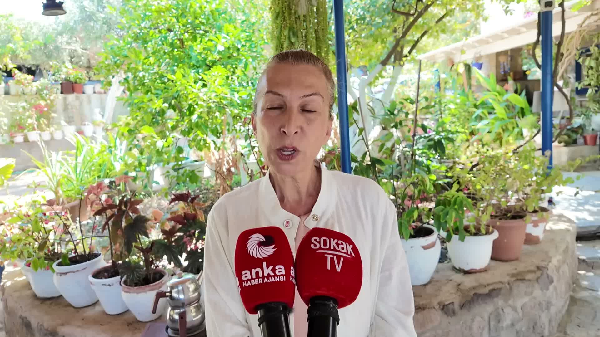 Milli Dayanışma
