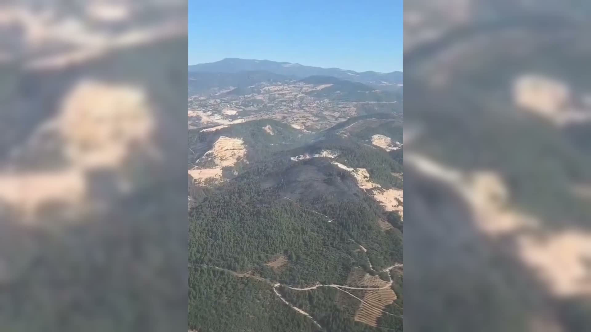 Sındırgı’da orman