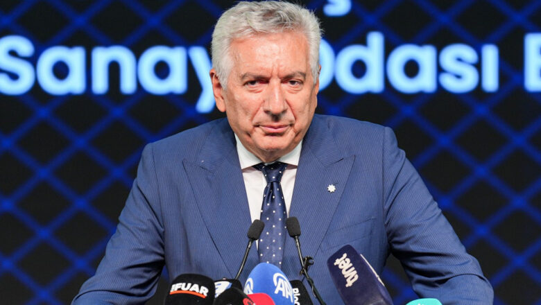 girişimci devlet