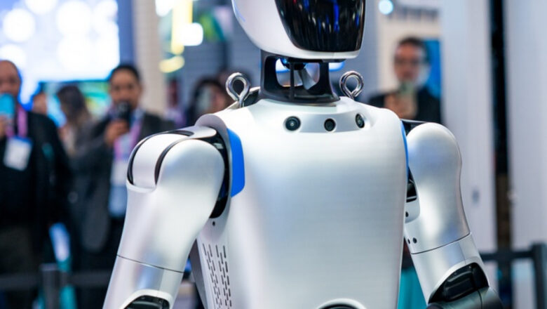 insansı robot