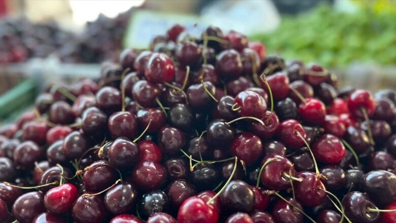 yaş meyve ihracatı