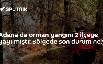 Orman yangını