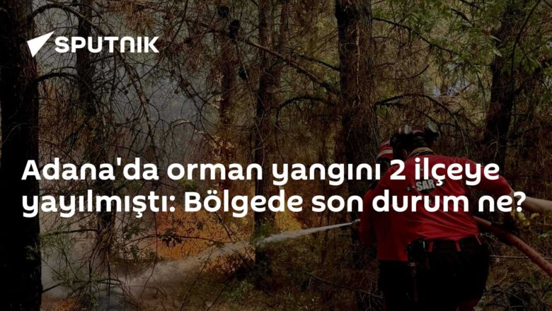 Orman yangını
