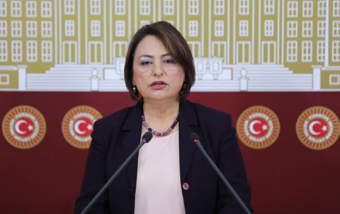özelleştirme